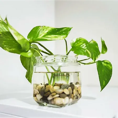 Conde De Gondomar 1 Appartement Córdoba