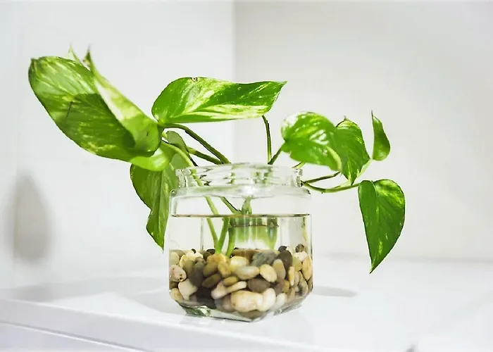 Conde De Gondomar 1 Διαμέρισμα Κόρδοβα